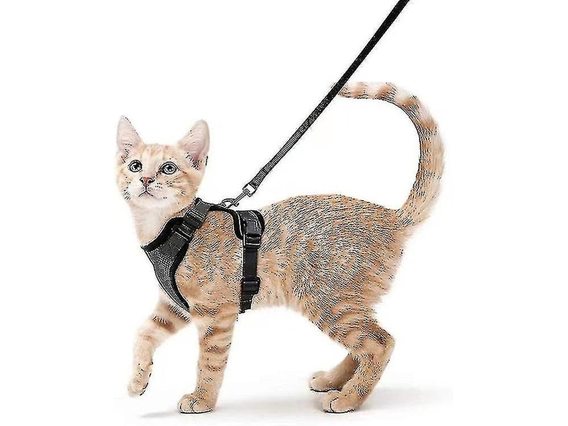 2026-arnés Y Correa Para Gatos, Arnés Suave Ajustable Anti Escape, Respirable Para Paseos Al Aire Libre