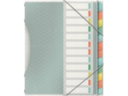 Separador ESSELTE Index (Multicolor - 26.6x2cm - Polipropileno)