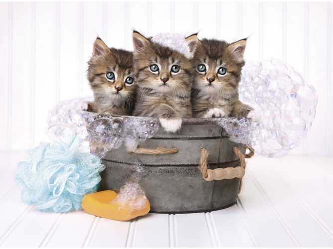 Puzzle CLEMENTONI Gatitos y Jabón (500 Piezas)