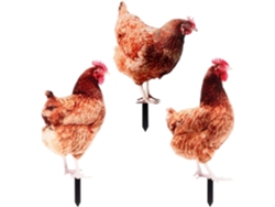 Kichouse Juego De 3 Piezas De Letreros De Gallinas Para Jardín. Estacas De Gallinas Hechas De Acrílico Con Forma