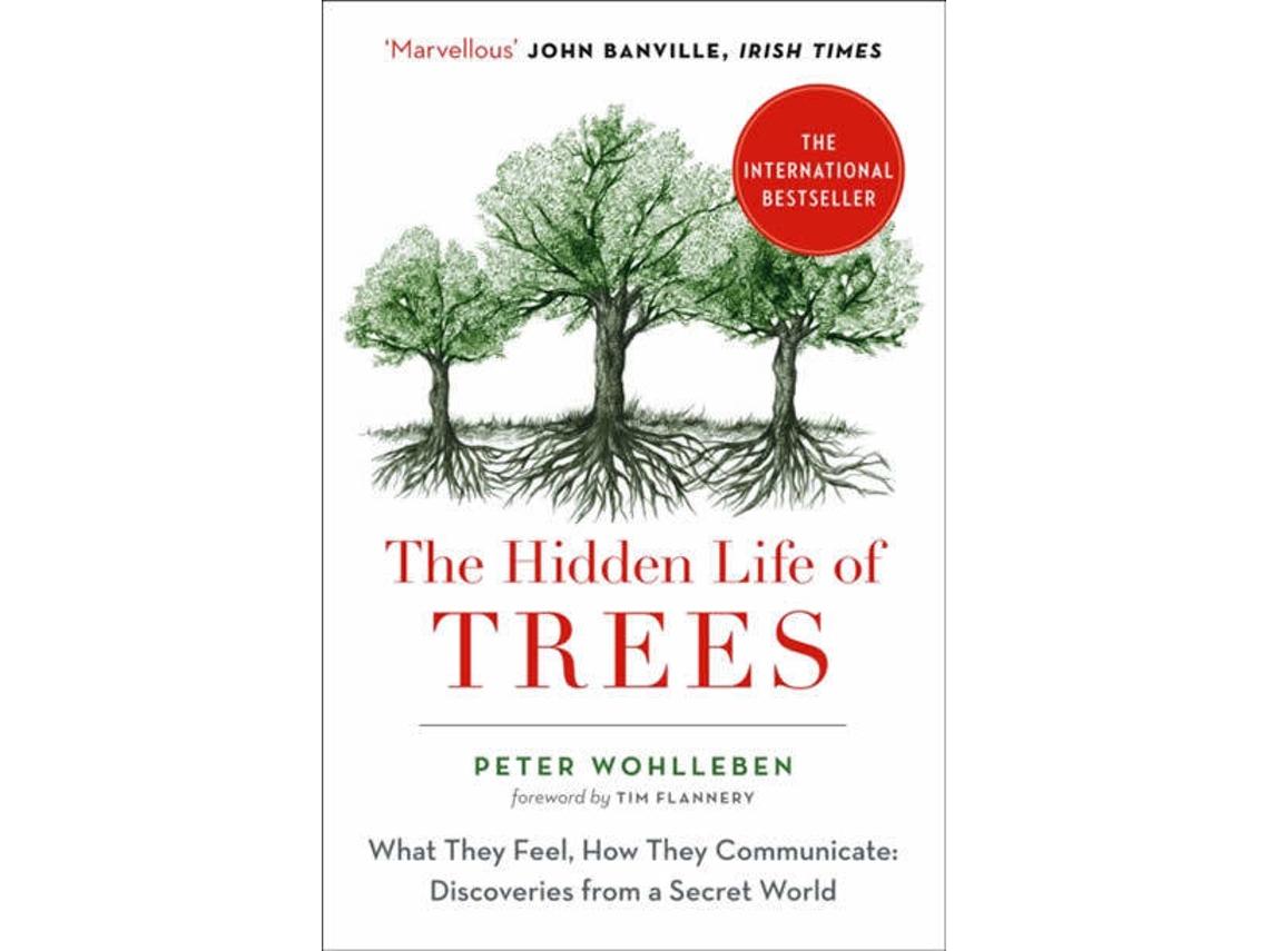 Libro Hidden Life of Trees de P Wohlleben (Inglés)