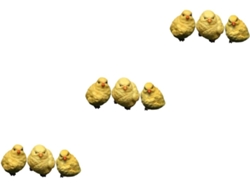 Juegos Figuritas Pollitos Resina, Adorables Decoraciones Miniatura Para Micro 3 Piezas