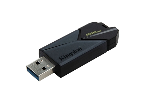 Pen USB KINGSTON Dtxon (256 GB)