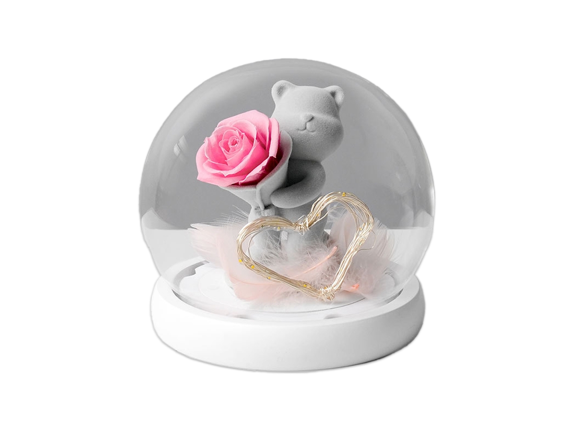Regalo de San Valentín: flor eterna, osito de peluche, regalo creativo MEOIRUERY