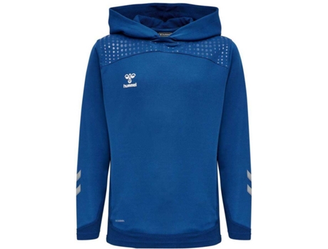 Sudadera de Hombre ICEBREAKER Sphere Ii Merino Gris (L)