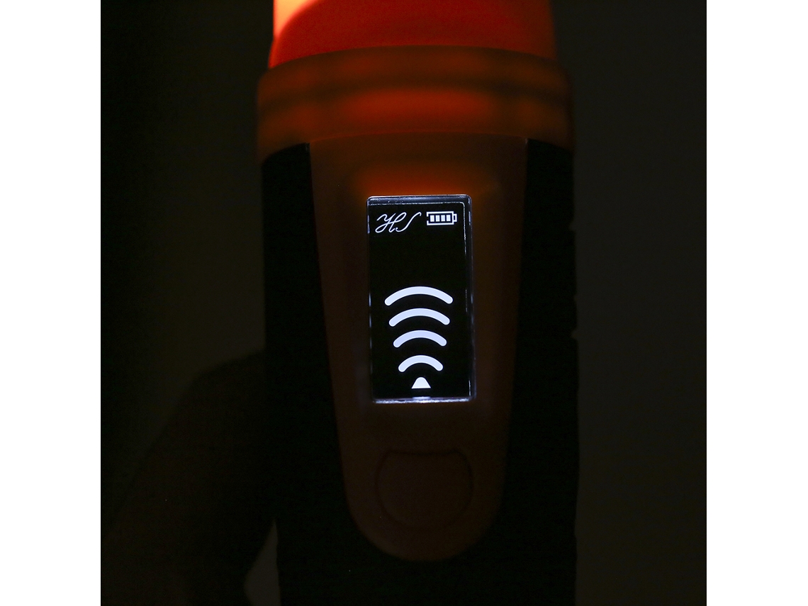 Afilador Portátil Metal Treasure Hunter, Resistente Al Agua Ip68, De Alta Sensibilidad, Con Linterna Led.