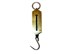 Lams peso de gancho (dinamometros) de 12,5 kg  813 (3060006)