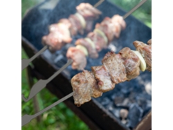 10 Brochetas Planas De Titanio Para Barbacoa, Ideales Para Picnics Y Barbacoas En El Jardín.