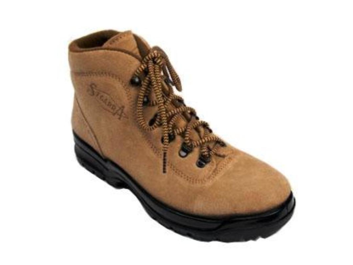 Bota Alpina Trekking 4200 N.39 Par