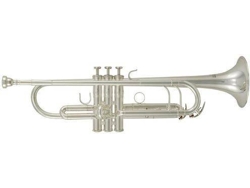 Trompeta ROY BENSON Tr-202S