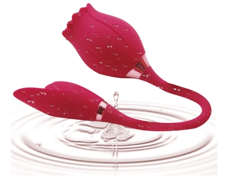 Vibrador CHRONUS CR_0505zzh12 Rojo