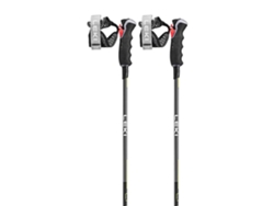 Bastón LEKI ALPINO Pólos Carbon 12 3d Prateado 120 cm