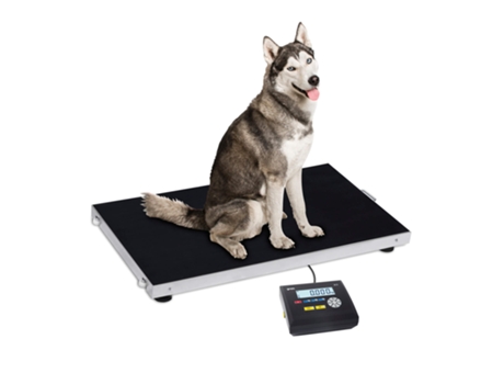 Pluto K3 300-PL