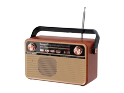 Radio estéreo portátil con Bluetooth, FM, AM y SW, compatible con disco USB, tarjeta USB/TF, entrada auxiliar, reproducción de música con batería recargable Yizhood