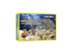 Caja sorpresa navideña con concha Jue Fish, caja sorpresa navideña con concha, caja de regalo sorpresa de 24 días Hengjian