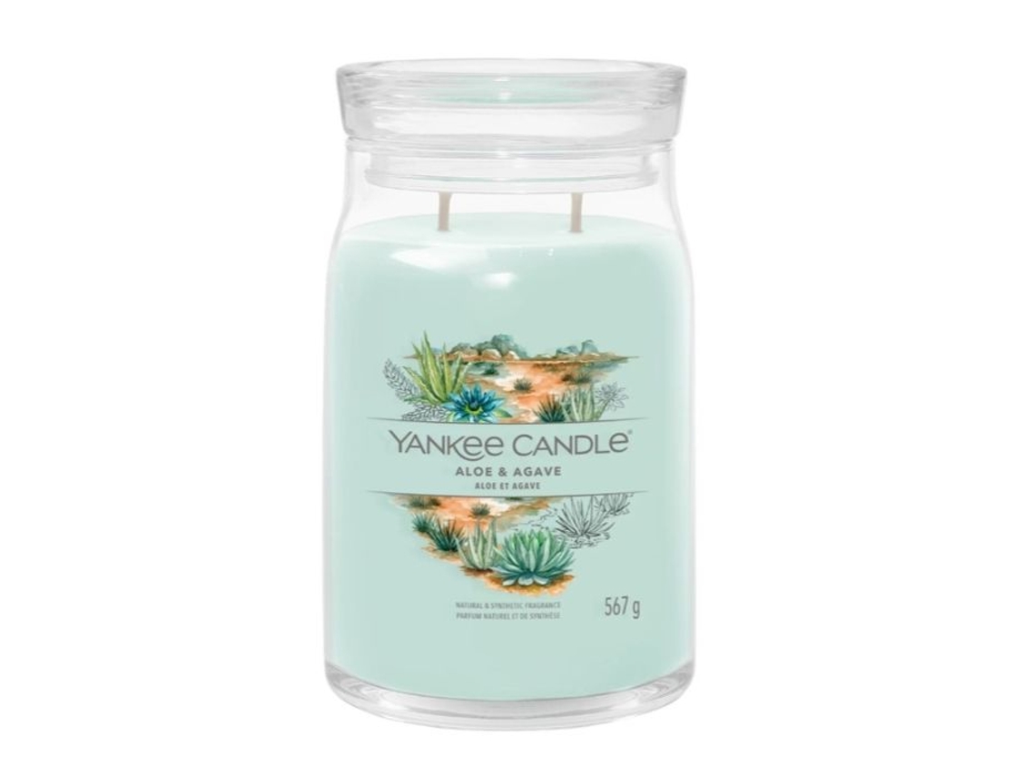 Vela Yankee modelo grande de aloe y agave de Bougie Signature