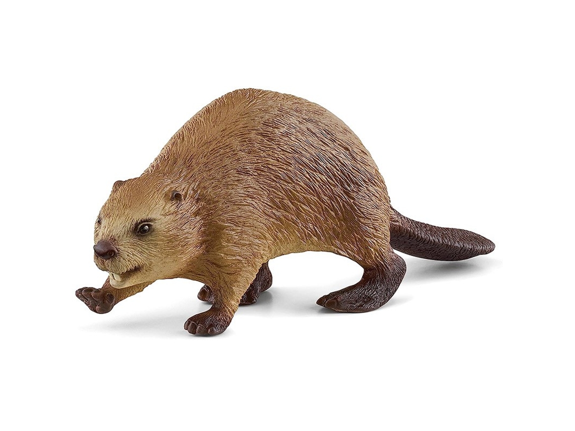 Figura Castor