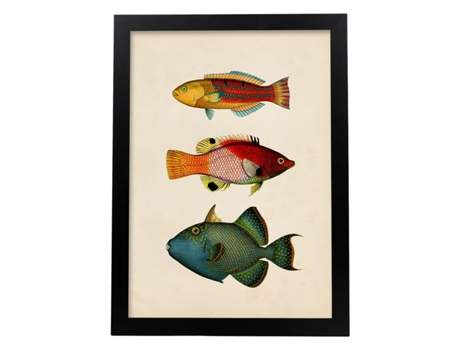 Póster NACNIC de Tres Peces Naranja, Rojo, Azul, Verde y Amarillo en , Fondo Papel Vintage.