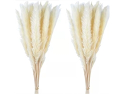 2026-30pcs Ramo De Flores Secas De Junco Pequeño Y Hierba Pampas Decoración Diy Navideña Blanca
