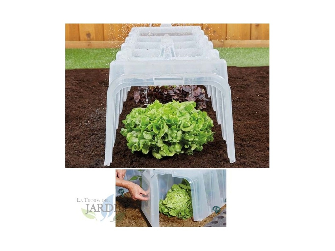 Tunel de Cultivo Transparente 104X40X30 Cm Resistente Uv GRAF