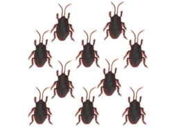 10pcs Modelos De Cucarachas Props De Broma Cucarachas Simuladas Falsas Juguete Tricky