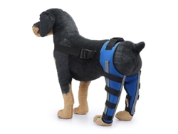 2026-protector De Rodilla Para Perros Con Doble Soporte Posterior Para Acl Dislocación Artrosis Y Calentamiento De Articulaciones Crz S Blue2