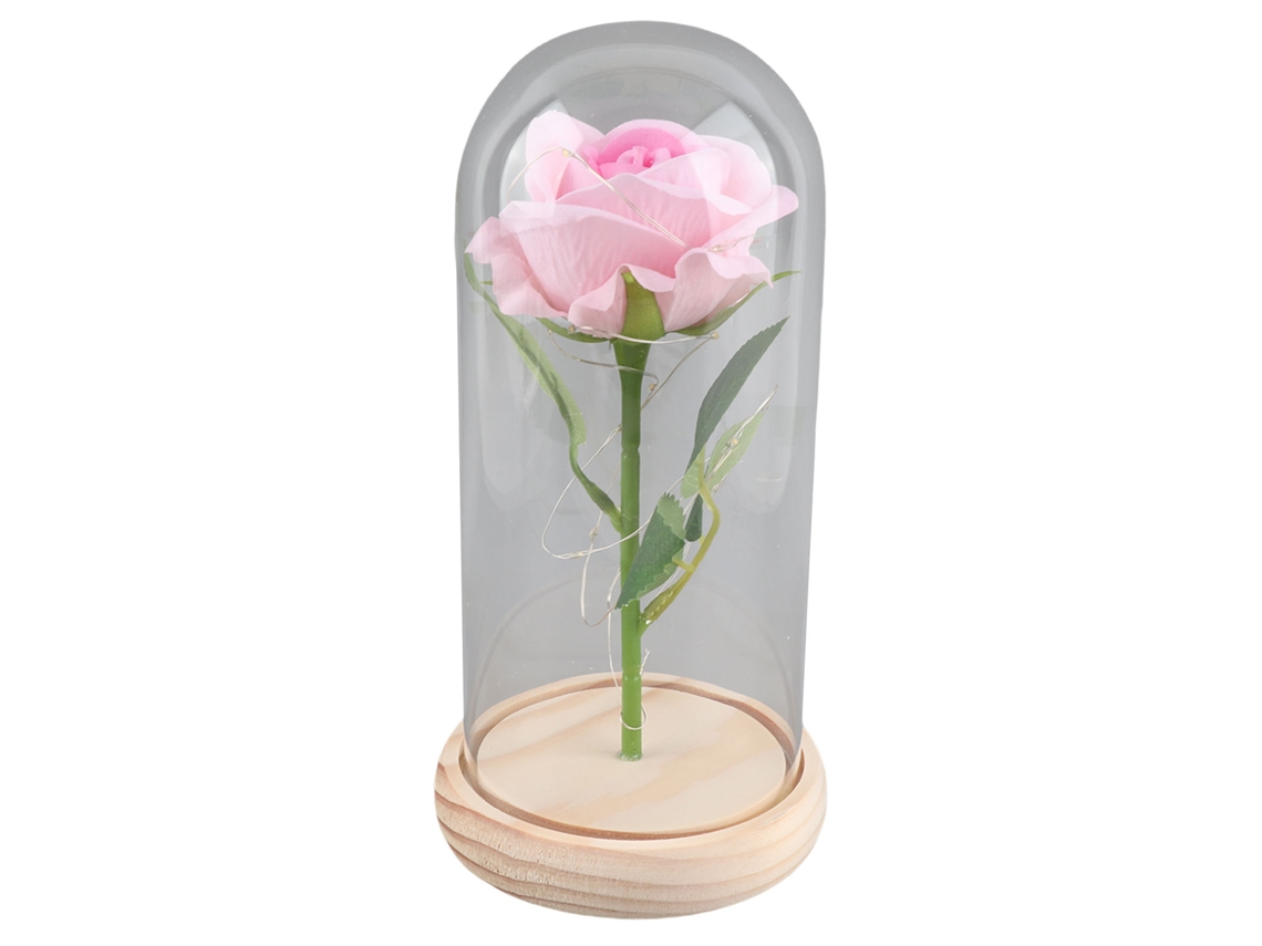 Rosa Preservada Con Luz Led Y Cubierta De Cristal, Base De Madera, Regalo De San Valentín, Rosa De Boda, Color Champán.