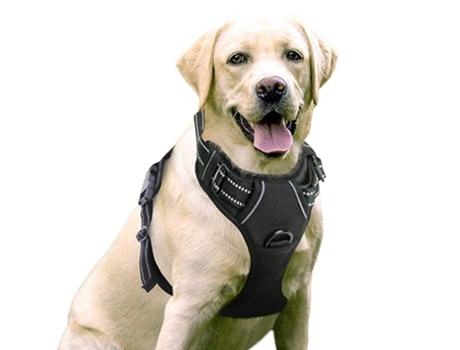 Arneses para mascotas con collar para perros, chaleco Oxford reflectante ajustable, clips para correa delantera/trasera, NEGRO - S ZMDECQNA