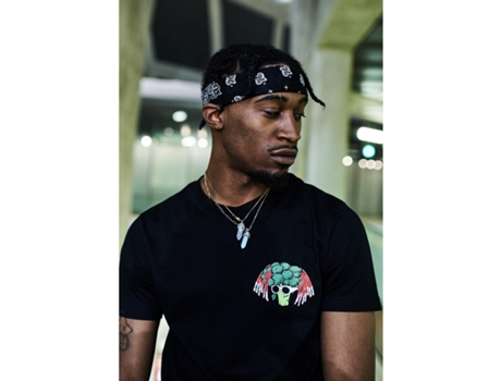 Camiseta MISTER TEE Hombre (Multicolor - XXL)