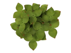 100 hojas artificiales de imitación para decoración del hogar slowmoose