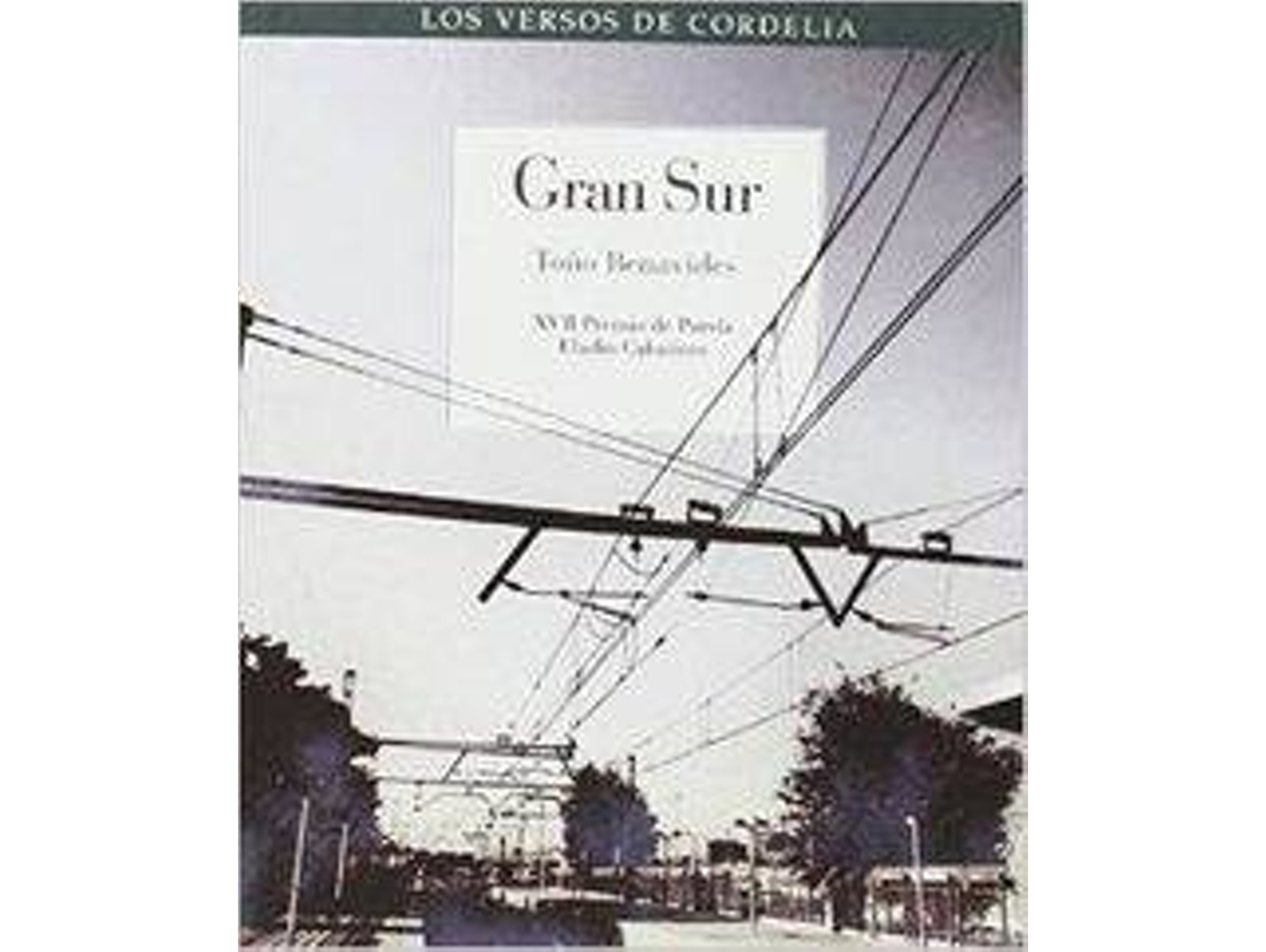 Libro Gran Sur Xvii Premio Eladio Cabañero De Poesía de Toño Benavides