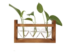 2026-estación De Propagación, Terrario De Vidrio Corazón Con Soporte De Madera Retro, Vaso Hidropónico Para Plantas Interiores
