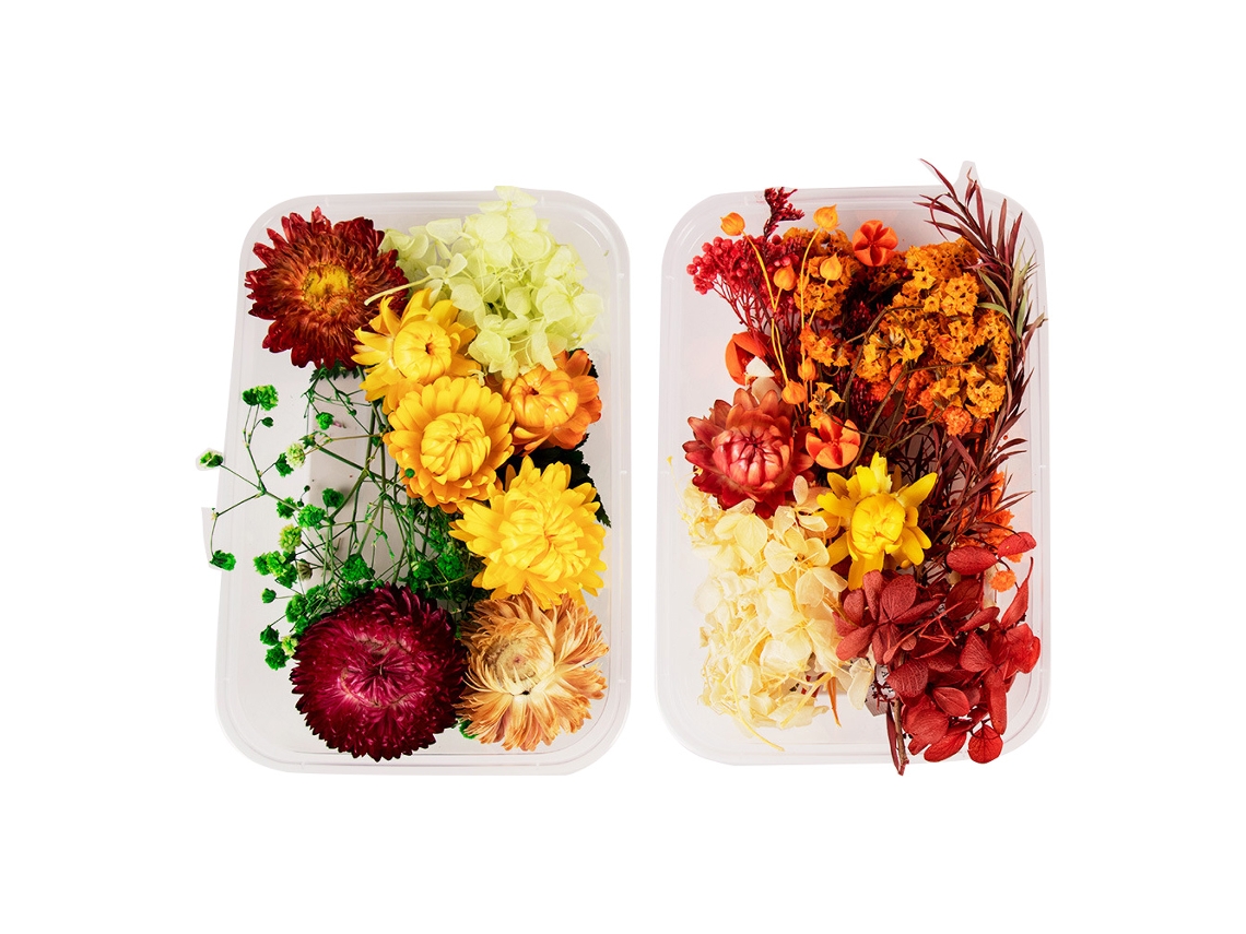 2 cajas de flores secas para resina, moldes de joyería, manualidades, velas, jabón MEOIRUERY