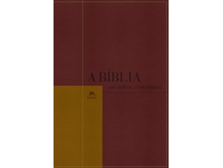 Libro Bíblia Nvi Em Ordem Cronológica - Capa Luxo Vermelho/Mostarda de Edward Reese (Portugués)