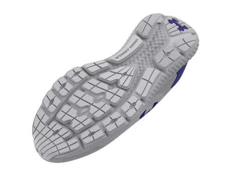 Zapatillas de Hombre para Running UNDER ARMOUR Charged Rogue Knit Gris (42)