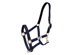 Camada Dupla Carabiner Halter Nylon Azul Ponyhispano Hipica