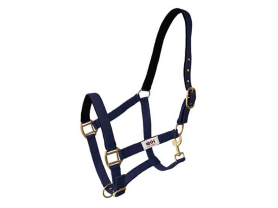 Camada Dupla Carabiner Halter Nylon Azul Ponyhispano Hipica