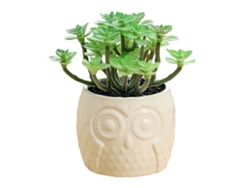 Suculentas simuladas en macetas de cerámica de búho, pequeños adornos creativos NEVEANCE