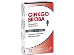 GINKGO BILOBA SUPLEMENTO ALIMENTAR CIRCULAÇÃO SANGUÍNEA 60 CAP