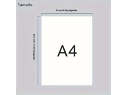 Cuaderno De Caligrafía Inglesa Para Adultos (tamaño A4) - Elegante Cuaderno De Calco De Caligrafía