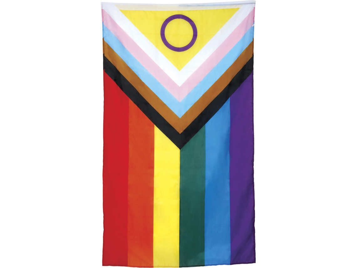 Bandera Inclusiva de 90x150 cm