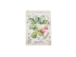 Nuevo Juego De Cartas Oráculo De La Bruja Verde Oráculo De La Planta Verde - Popular