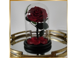 1 Rosa Natural Preservada La Bella y la Bestia Roja LOVE FLOWERS-MOMENTOS FELIZES en Cúpula de Cristal - Colección Beauty & Beast Rose Rose