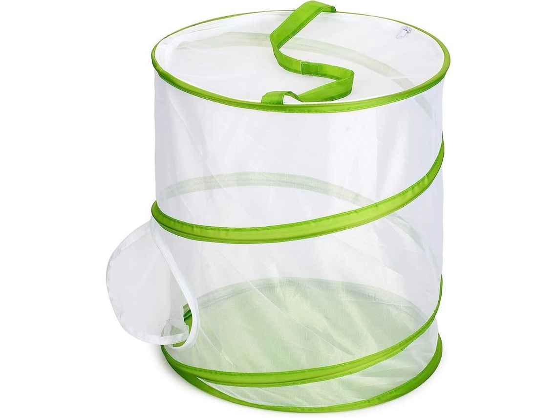 Jaula Para Habitat De Mariposas Y Insectos Contenedor De Vidrio Plegable Con Malla