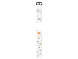Correa de silicona ajustable para el reloj inteligente Redmi Watch2 GOKOCO