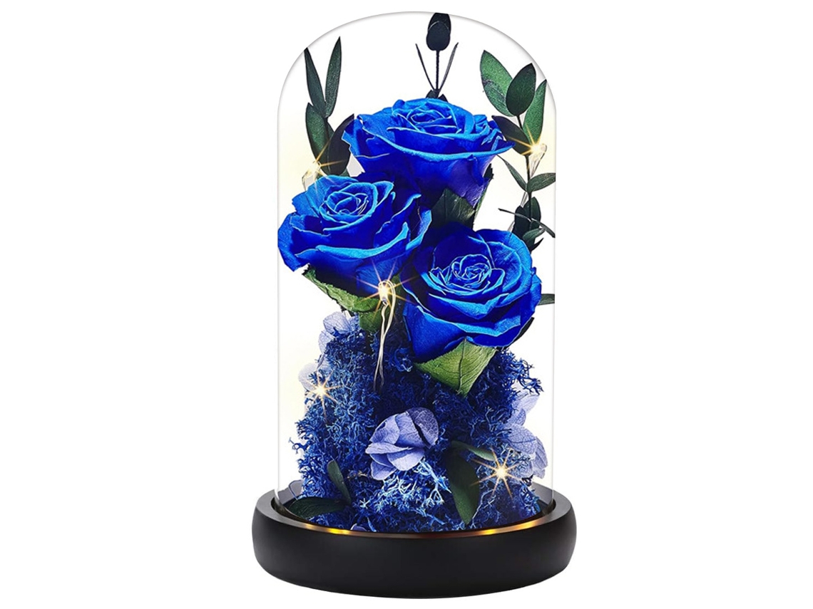 Rosas eternas en cúpulas de cristal Regalos de Navidad para mujeres Rosas preservadas para cumpleaños Esposa Madre Amiga Abuela