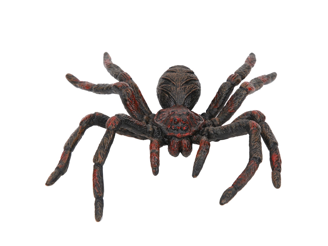 Brinquedo Educativo Modelo De Inseto Simulado Pvc Para Crianças Decoração Festival
