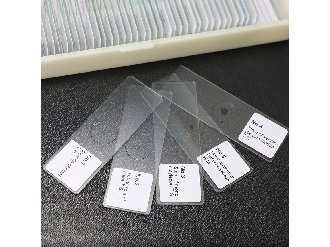 Juego De 50 Portaobjetos Biológicos Preparados Para Microscopio, Para Animales, Plantas E Insectos - Uso Educativo