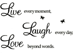 Amor más allá de las palabras, calcomanía de pared motivacional, citas inspiradoras para la familia, 99.8 pulgadas