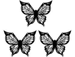 Plantilla De Mariposa Para Delineador De Ojos, Delineador De Ojos De Mariposa, Maquillaje De Ojos, Fácil De Usar.